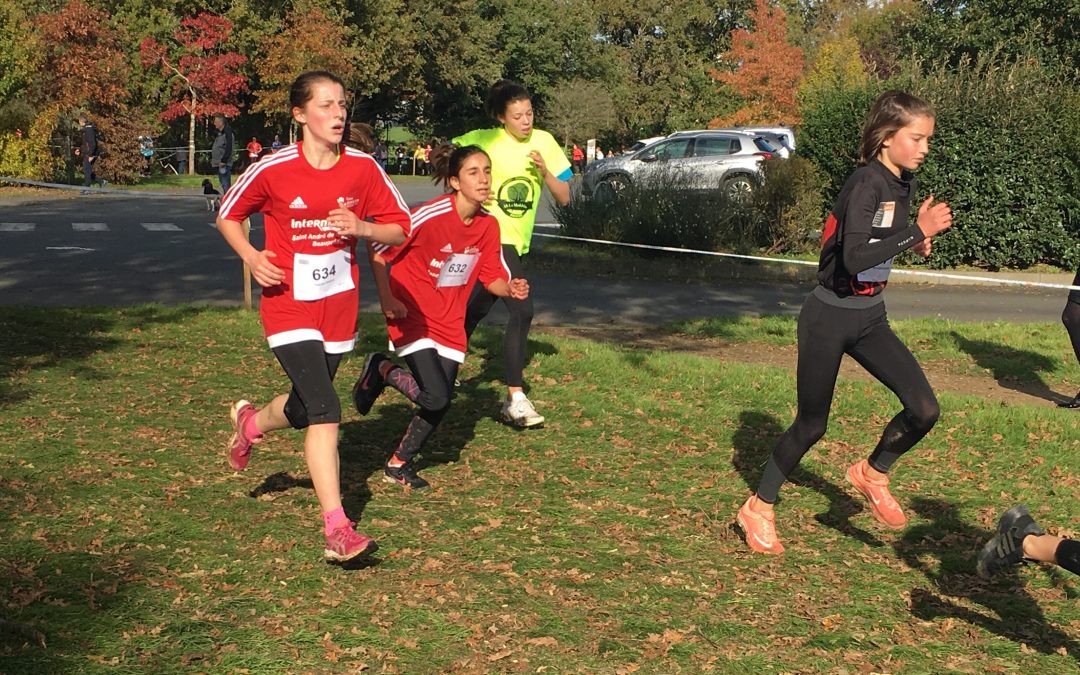 Cross départemental