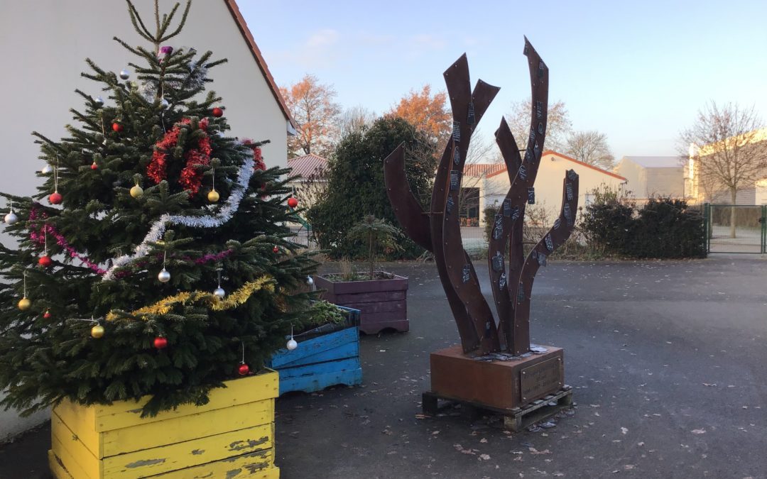 Noël aura bien lieu !!! La crèche est là, le sapin également.